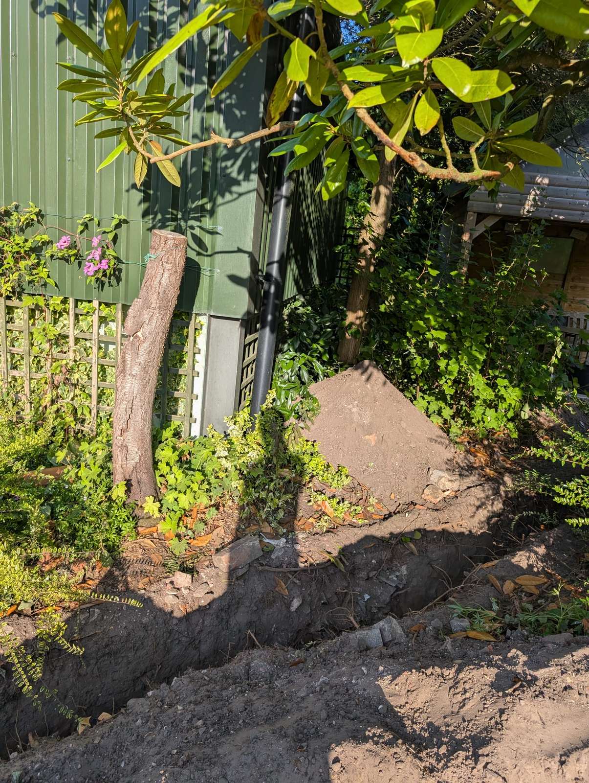 Garden trench excavated for a new drain run